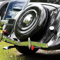 IMG_3338 _Large_.jpg